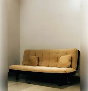 2 SEATER SOFA CUM BED