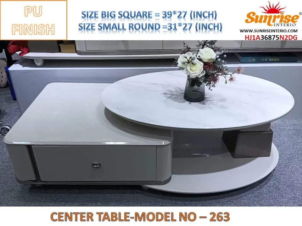 CENTER TABLE(263)